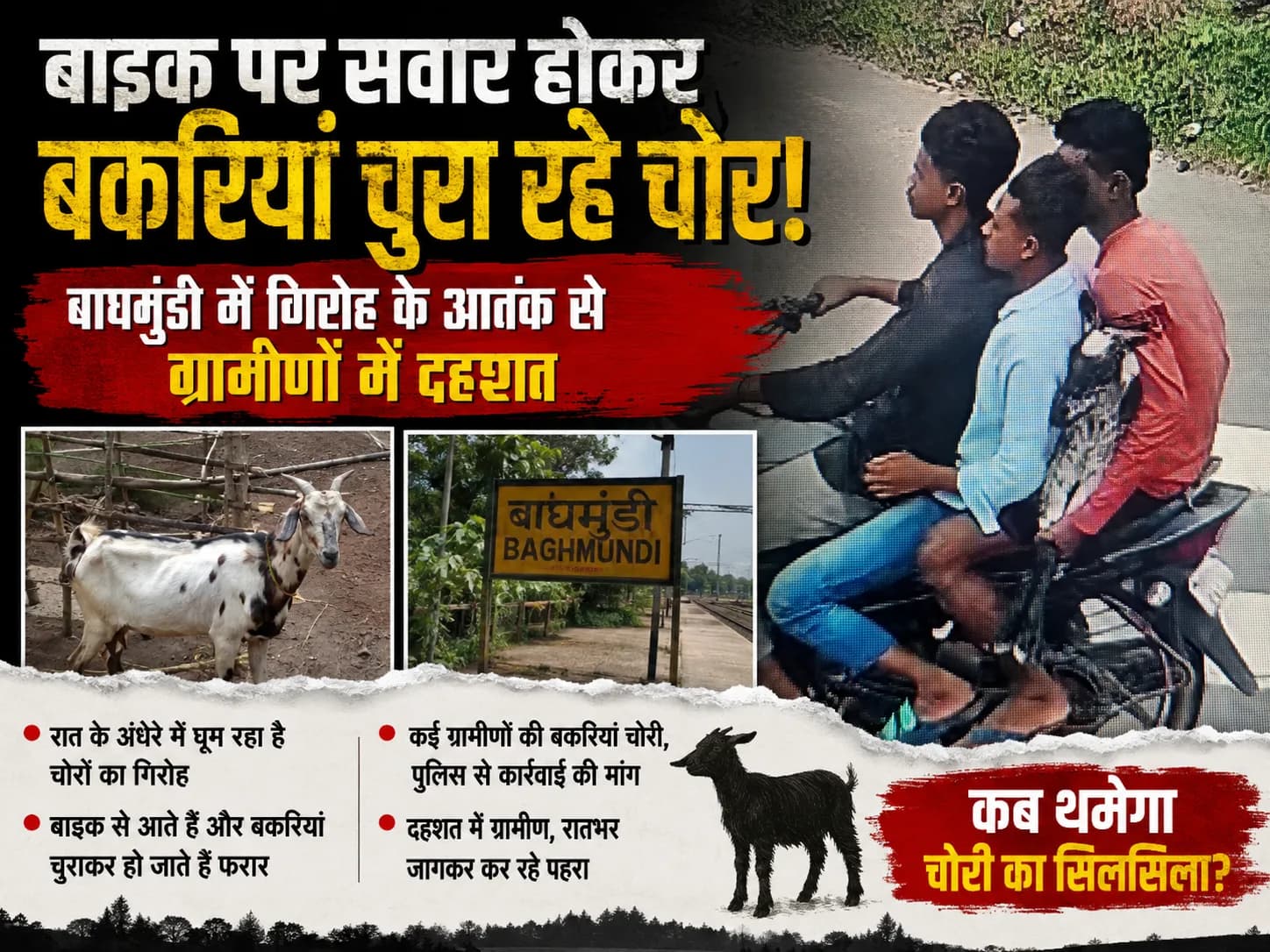 बाइक पर सवार होकर बकरियां चुरा रहे चोर, बाघमुंडी में गिरोह के आतंक से ग्रामीणों में दहशत