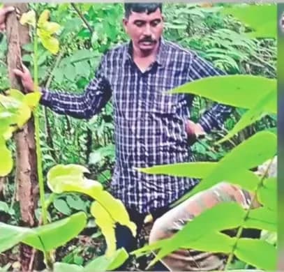 19 साल बाद फिर खुला बाघुड़िया का बंद दरवाजा: हाईकमान के आदेश की पुष्टि, मगर आदेश देने वाला कौन?